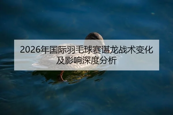 2026年国际羽毛球赛谌龙战术变化及影响深度分析