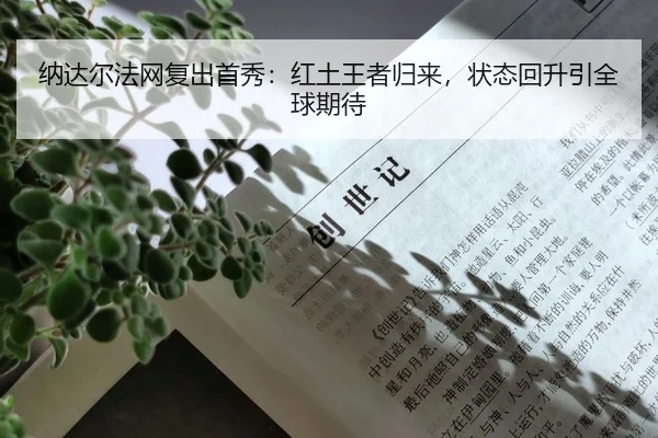 na-da-er-fa-wang-fu-chu-shou-xiu-hong-tu-wang-zhe-gui-lai-zhuang-tai-hui-sheng-yin-quan-qiu-qi-dai-2-713.jpg
