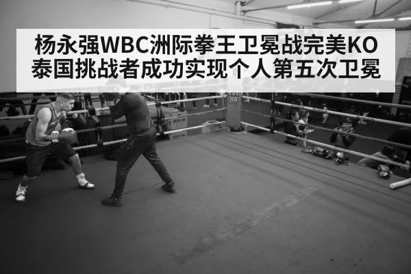 boxer training gym